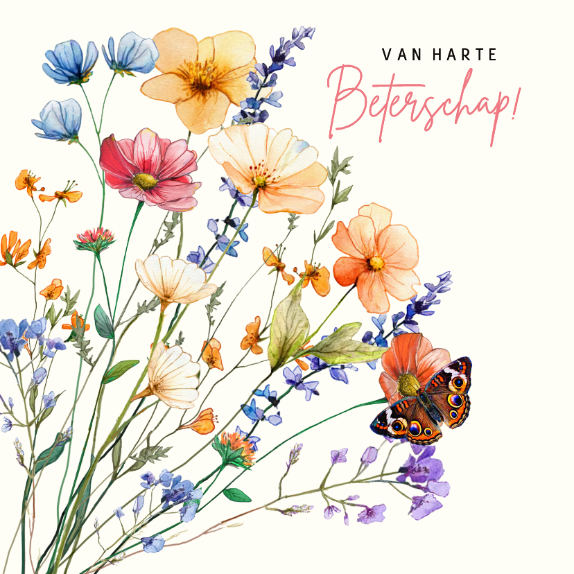 Beterschapskaarten - Mooie beterschapskaart met wilde bloemen en vlinders
