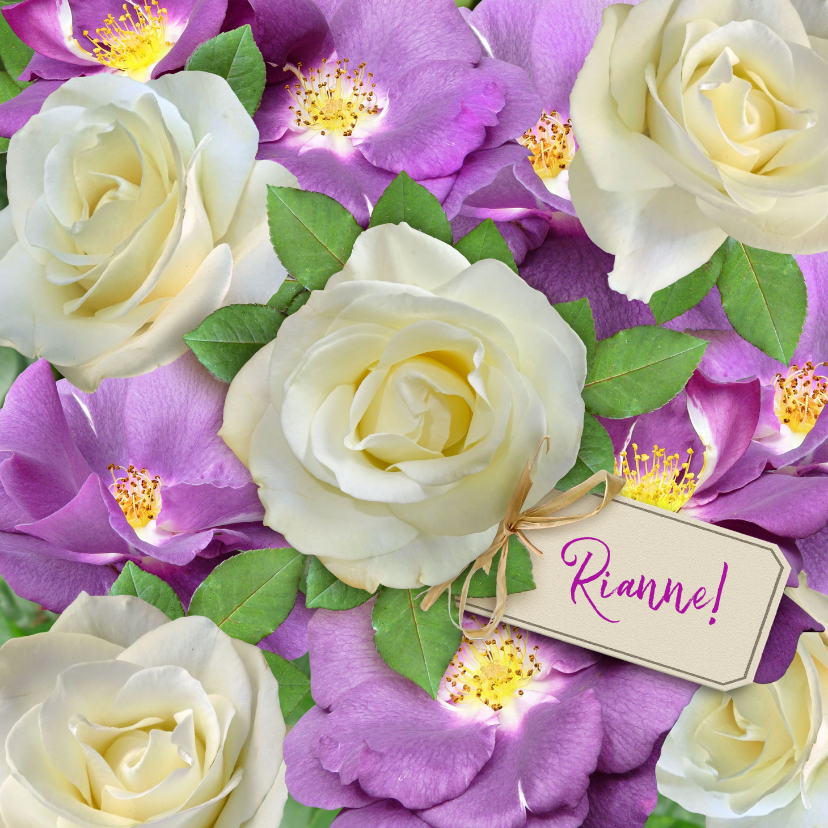 Beterschapskaarten - Mooie beterschapskaart wilde en witte rozen voor de zieke