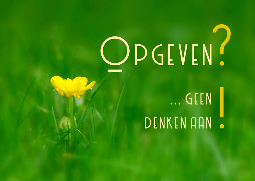 Beterschapskaarten - opgeven - geen denken aan