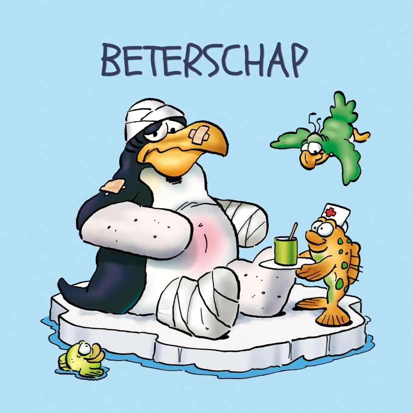 Penguins beterschap 3 dieren op ijsschots - Beterschapskaarten Beterschapskaarten - Penguins beterschap 3 dieren op ijsschots