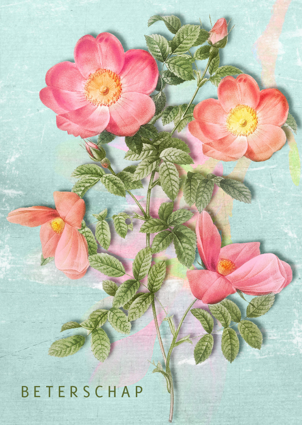 Beterschapskaarten - Vintage bloemenkaart