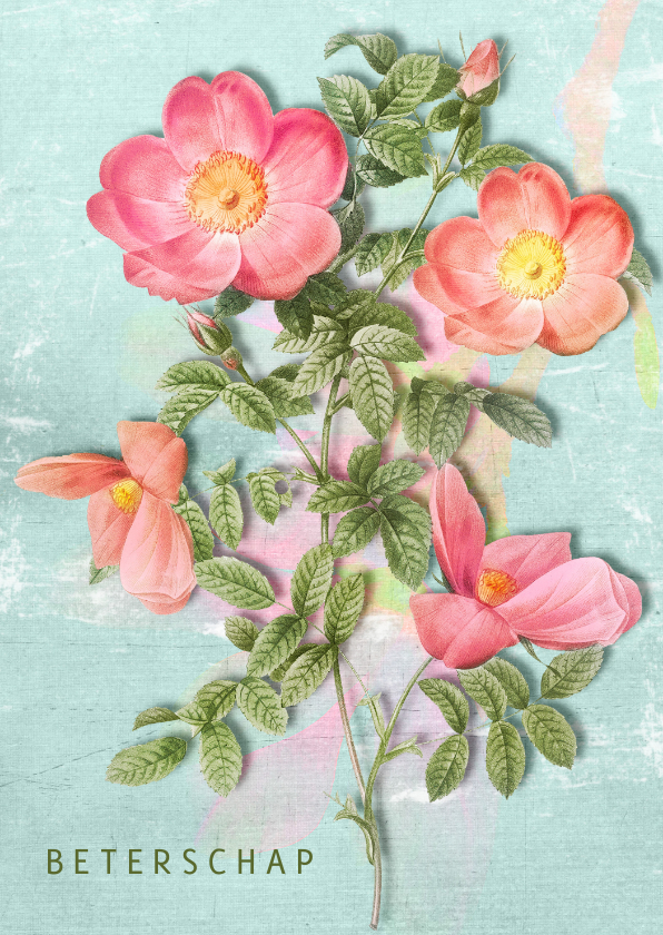 Vintage bloemenkaart - Beterschapskaarten Beterschapskaarten - Vintage bloemenkaart