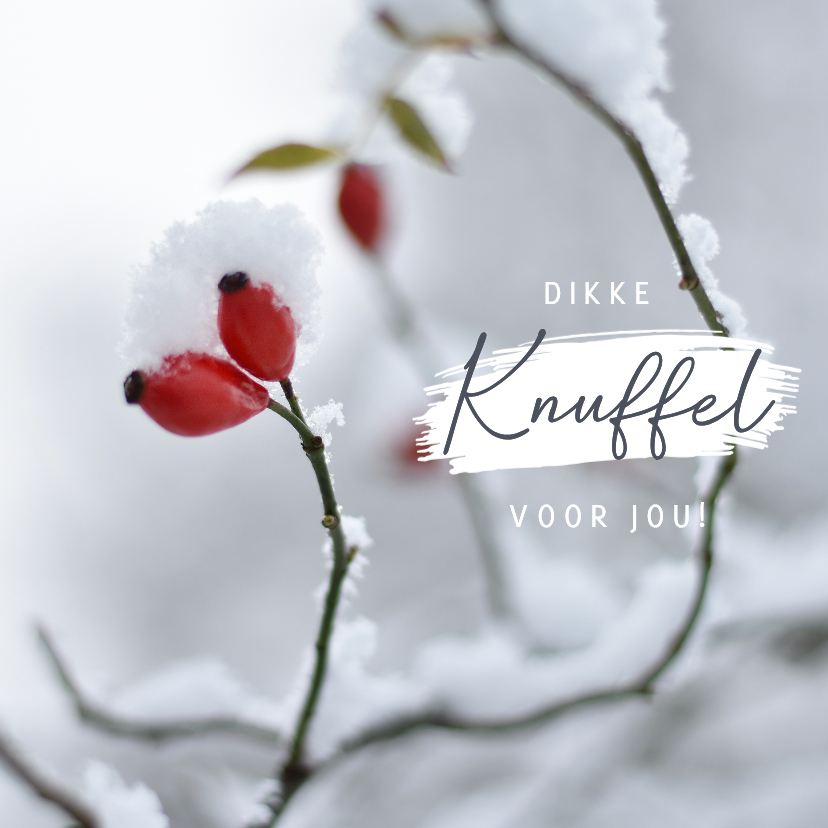 Beterschapskaarten - Winterse beterschapskaart met natuur foto rozenbottel 