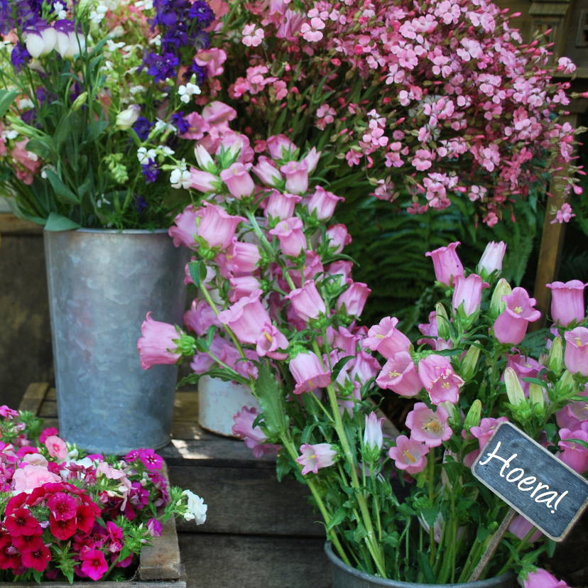 Bloemen uit Frankrijk - Bloemenkaarten Bloemenkaarten - Bloemen uit Frankrijk