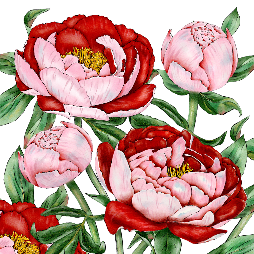Bloemenkaarten - Bloemenkaart boeket pioenrozen