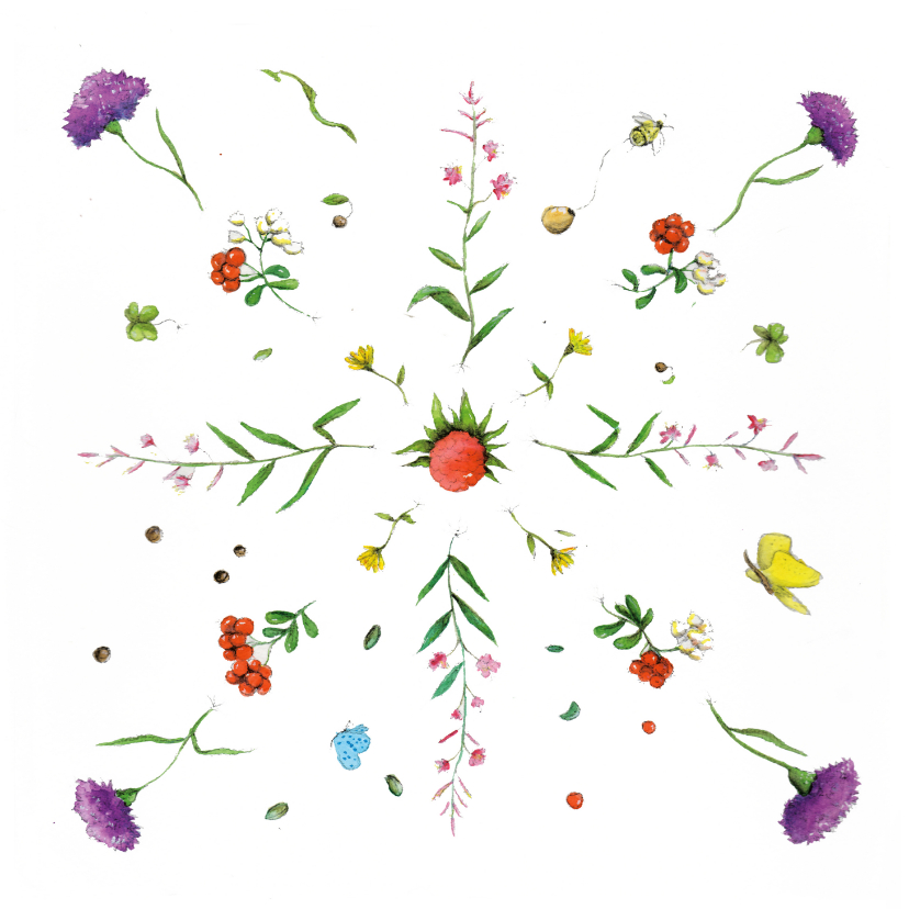 Bloemenkaart De allermooiste bloemen - Bloemenkaarten Bloemenkaarten - Bloemenkaart De allermooiste bloemen