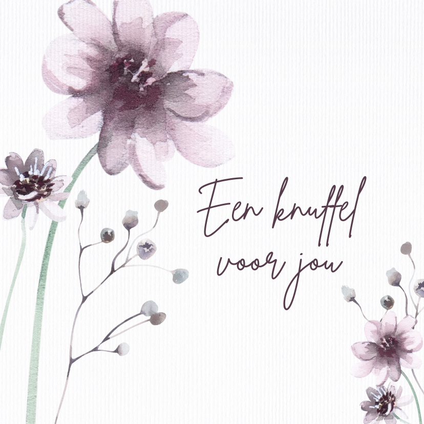 Bloemenkaarten - Bloemenkaart een knuffel voor jou
