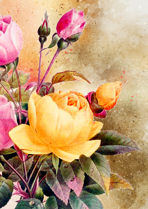 Bloemenkaarten - Bloemenkaart engelse rozen vintage