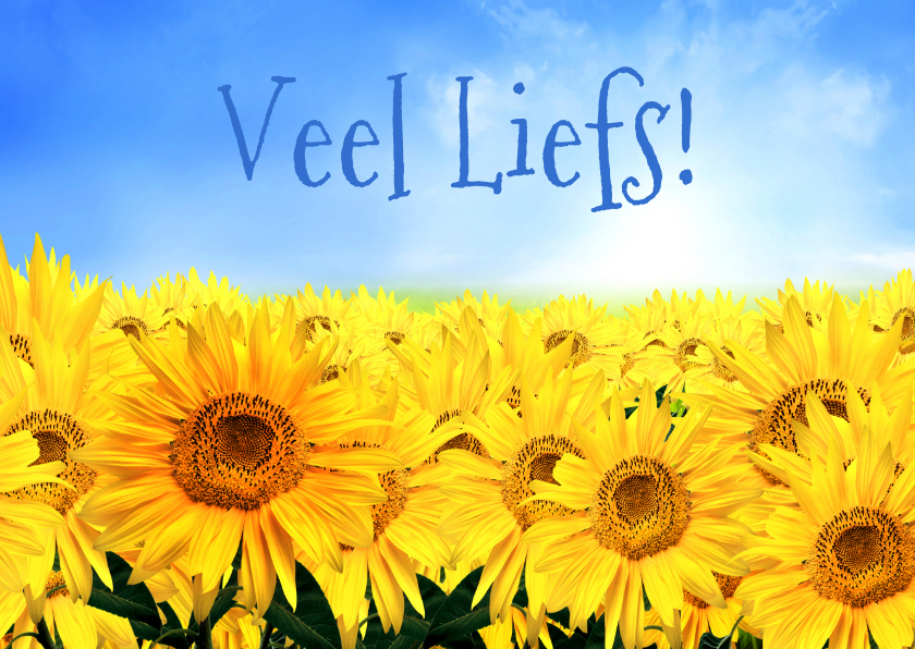 Bloemenkaarten - Bloemenkaart Liefs - BK
