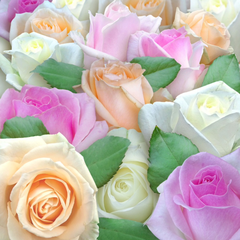 Bloemenkaarten - Bloemenkaart met diverse mooie rozen in pasteltinten