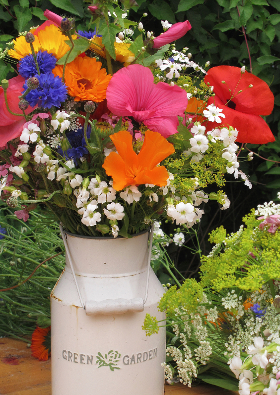 Bloemenkaarten - Bloemenkaart Pluktuin - OT