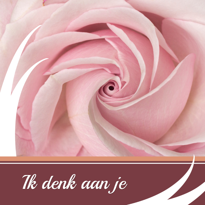 Bloemenkaart rozeroos balk - Bloemenkaarten Bloemenkaarten - Bloemenkaart rozeroos balk