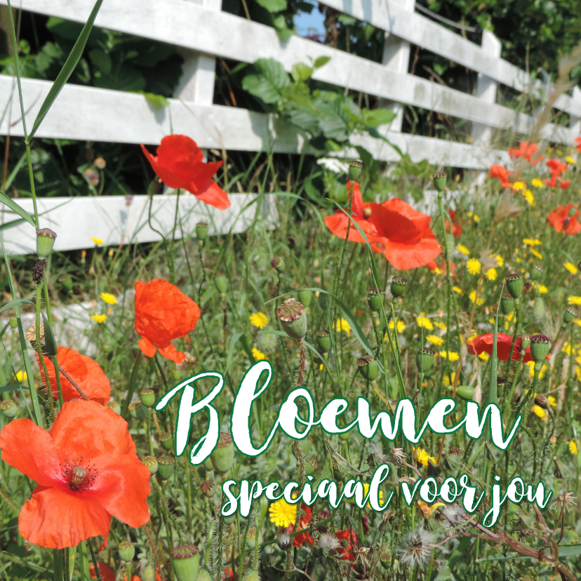 Bloemenkaart - Wilde bloemen - Bloemenkaarten Bloemenkaarten - Bloemenkaart - Wilde bloemen