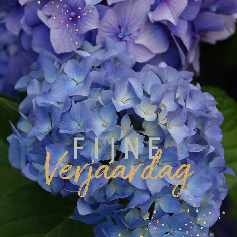 Fotokaart Hortensia blauw - Bloemenkaarten Bloemenkaarten - Fotokaart Hortensia blauw