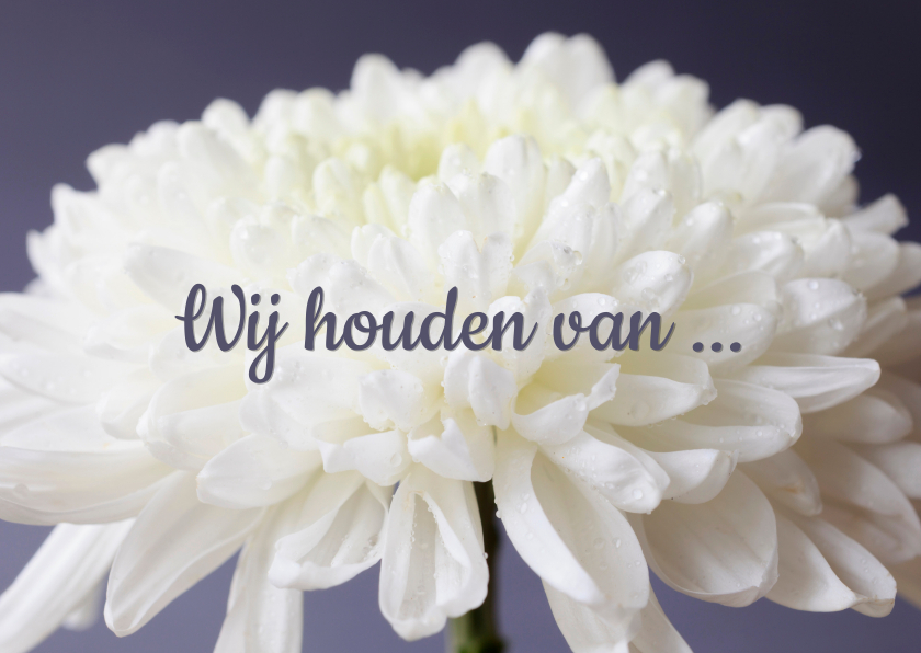 Fotokaart met een witte bloem en de tekst 'We houden van ... - Bloemenkaarten Bloemenkaarten - Fotokaart met een witte bloem en de tekst 'We houden van ...