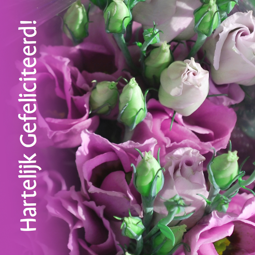 Fotokaart roze paars wit groen - Bloemenkaarten Bloemenkaarten - Fotokaart roze paars wit groen