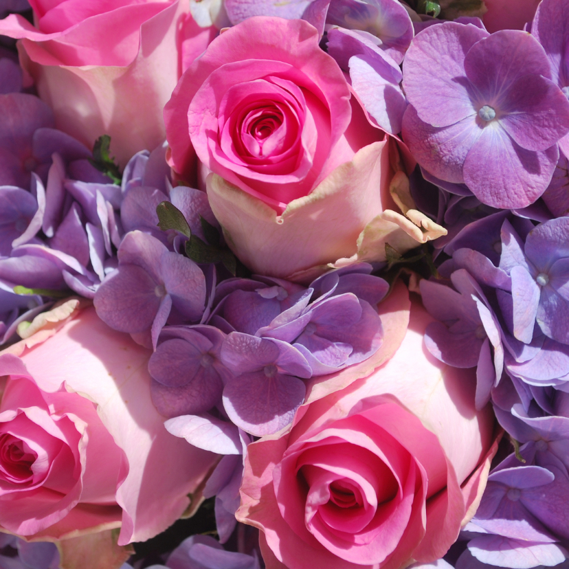 Fotokaart roze rozen - Bloemenkaarten Bloemenkaarten - Fotokaart roze rozen