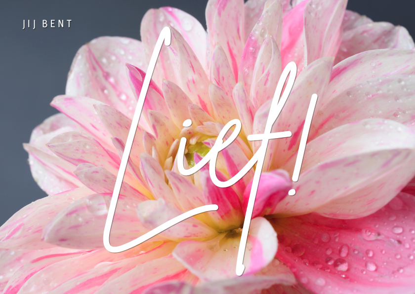 Bloemenkaarten - Jij bent lief! met een foto van een roze bloem