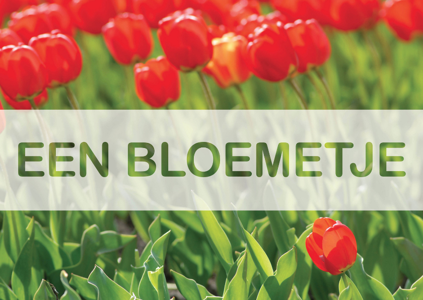 Bloemenkaarten - Kaart Een Bloemetje