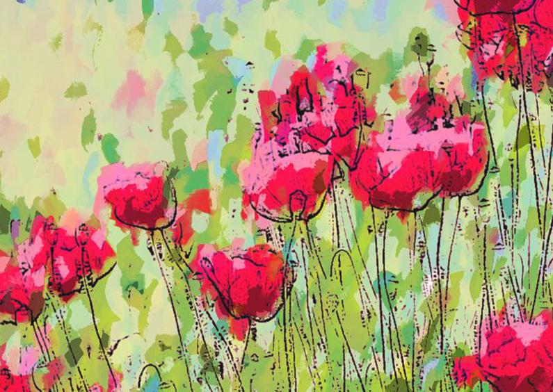 klaprozen enkele kaart - Bloemenkaarten Bloemenkaarten - klaprozen enkele kaart