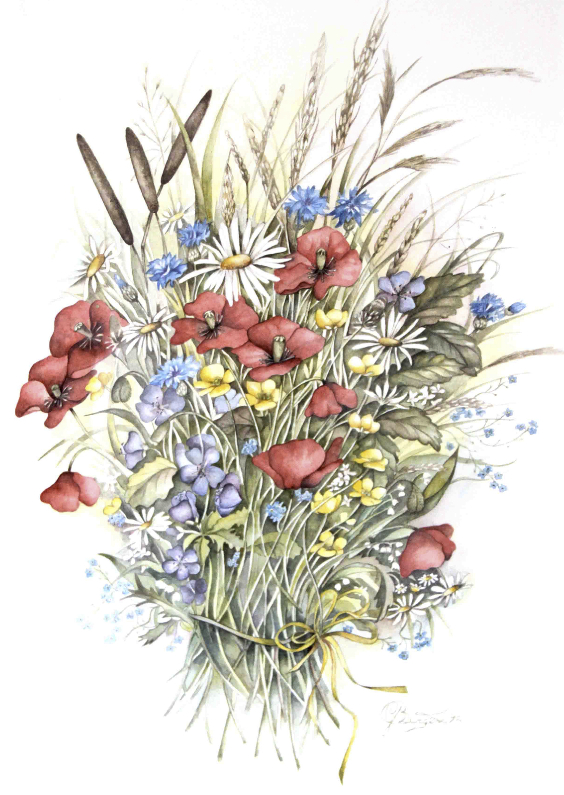 klaprozen op ansicht - Bloemenkaarten Bloemenkaarten - klaprozen op ansicht
