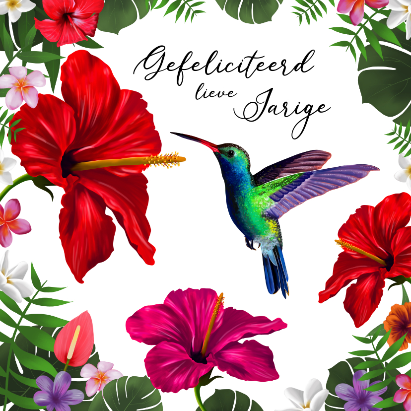Bloemenkaarten - Kleurrijke verjaardagskaart kolibrie