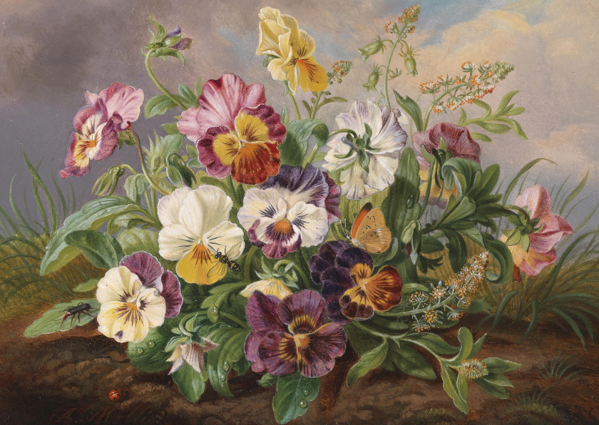 Kunstkaart van Anton Mollis. Viooltjes - Bloemenkaarten Bloemenkaarten - Kunstkaart van Anton Mollis. Viooltjes