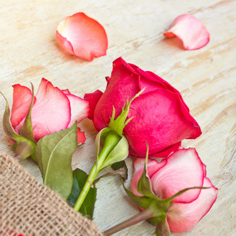 Bloemenkaarten - Moederdag kaart met drie delicate roze rozen 