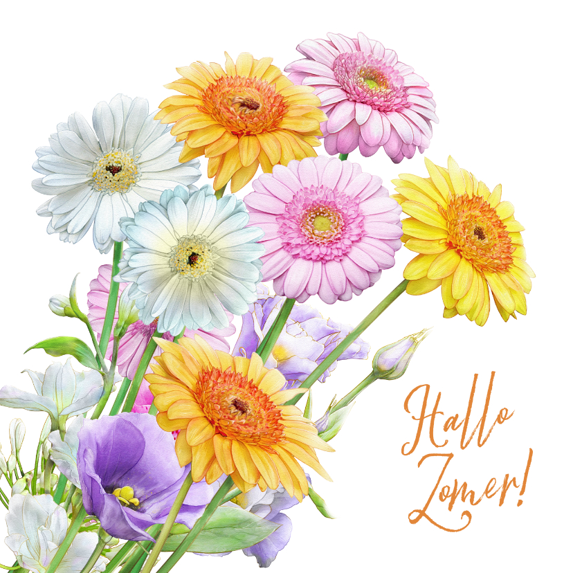 Mooie bloemenkaart met getekende Gerbera's in waterverf - Bloemenkaarten Bloemenkaarten - Mooie bloemenkaart met getekende Gerbera's in waterverf