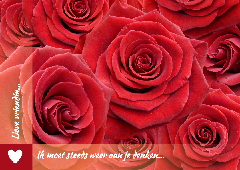 Mooie bloemenkaart met rode rozen om iemand te feliciteren - Bloemenkaarten Bloemenkaarten - Mooie bloemenkaart met rode rozen om iemand te feliciteren