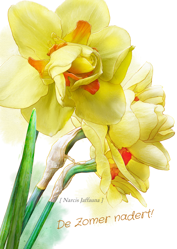 Bloemenkaarten - Mooie bloemenkaart Narcissen op waterverf lentegroet
