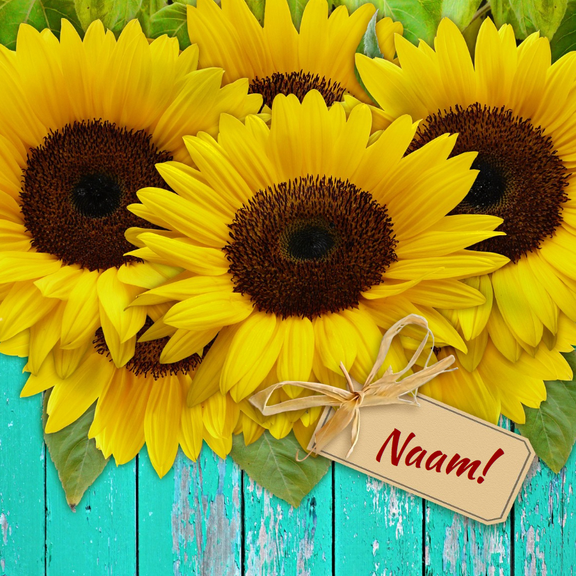 Bloemenkaarten - Mooie bloemenkaart Zonnebloemen op schutting