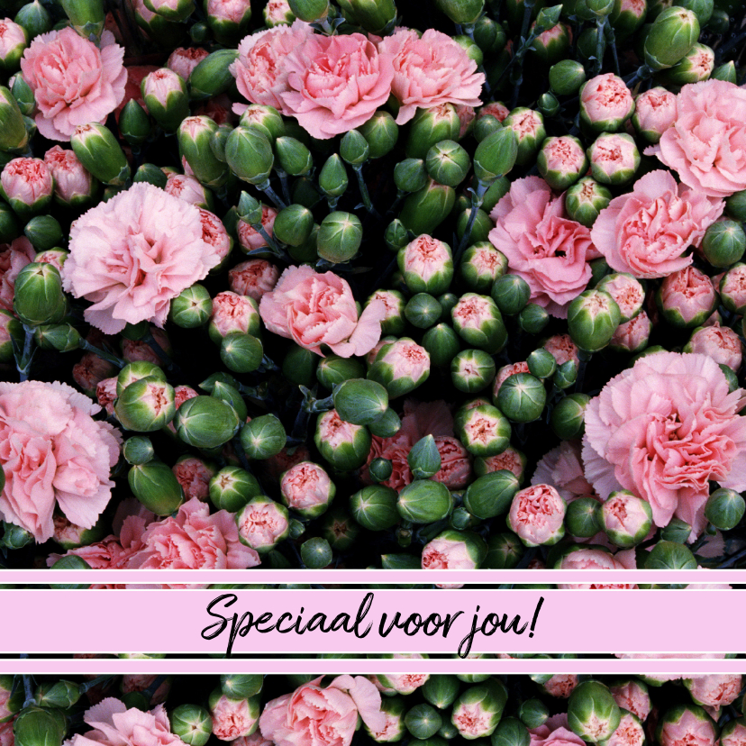 Speciaal voor jou! - BK - Bloemenkaarten Bloemenkaarten - Speciaal voor jou! - BK