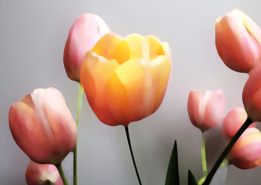 Tulpen roze oranje schilderstijl - Bloemenkaarten Bloemenkaarten - Tulpen roze oranje schilderstijl