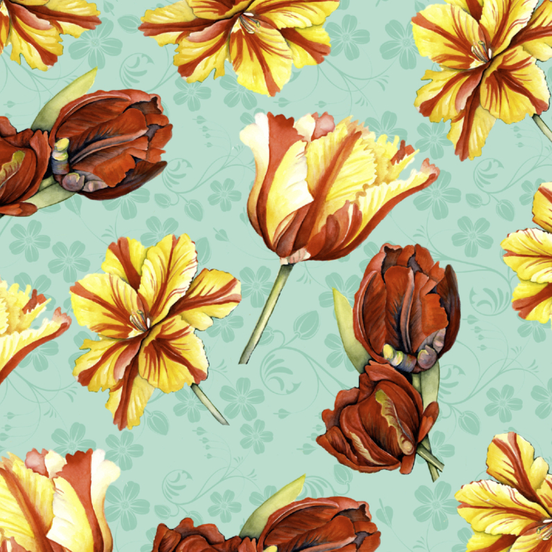 tulpenkaart zonder tekst - Bloemenkaarten Bloemenkaarten - tulpenkaart zonder tekst
