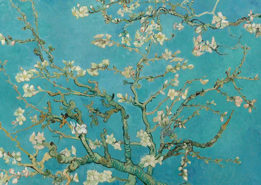 Vincent van Gogh. Amandelbloesem - Bloemenkaarten Bloemenkaarten - Vincent van Gogh. Amandelbloesem
