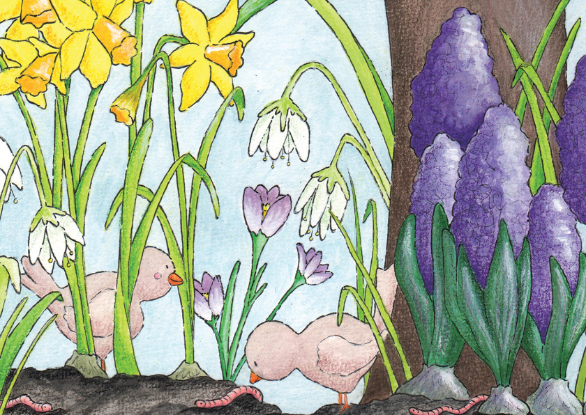 Vogeltjes in maart - Bloemenkaarten Bloemenkaarten - Vogeltjes in maart