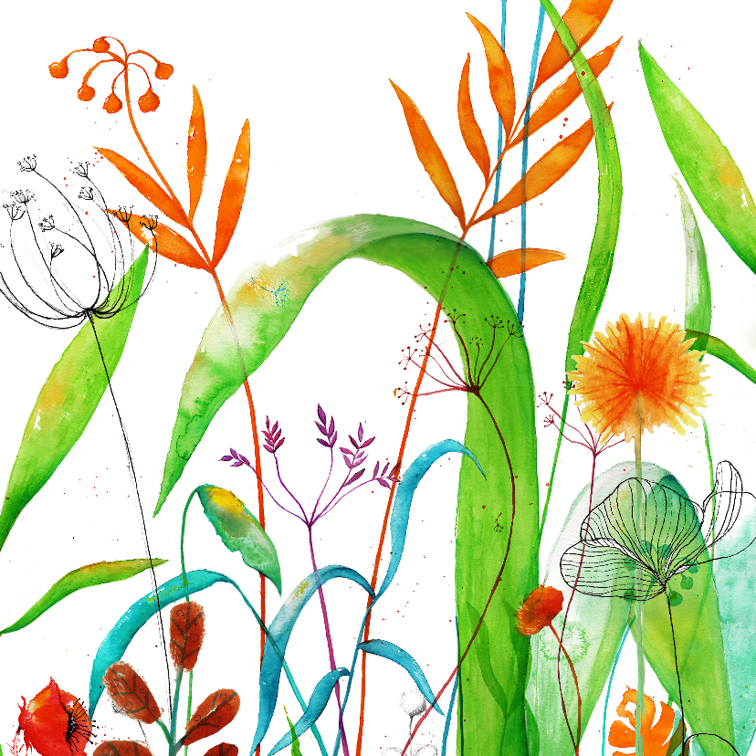 Wilde planten - Bloemenkaarten Bloemenkaarten - Wilde planten