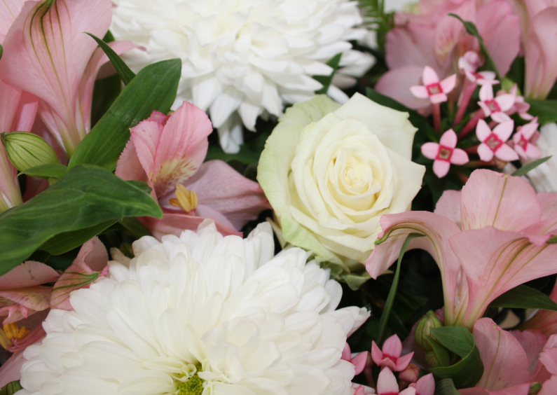 witte roze bloemen - Bloemenkaarten Bloemenkaarten - witte roze bloemen