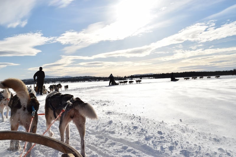 witte kerst Finland