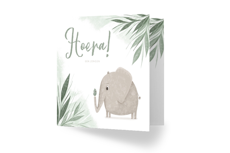 geboorte felicitatie kaart olifant bladeren
