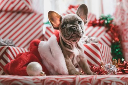 10 tips voor de ultieme kerstsfeer