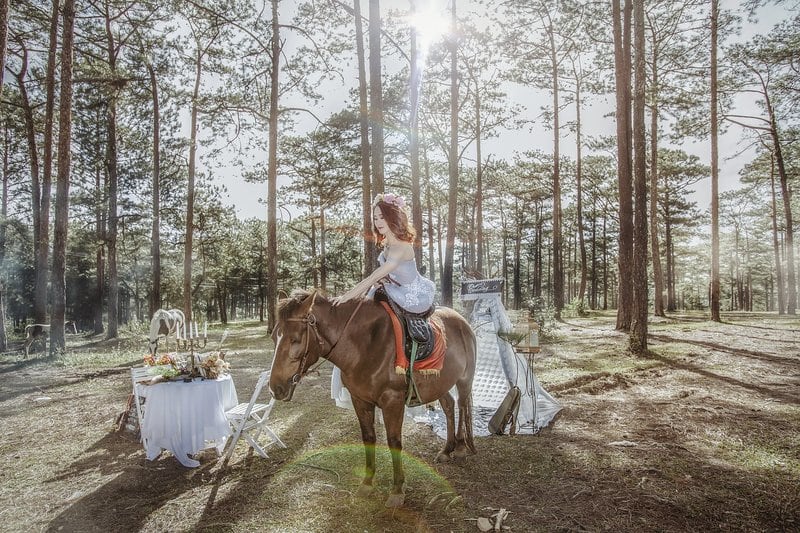Paard als trouwvervoer