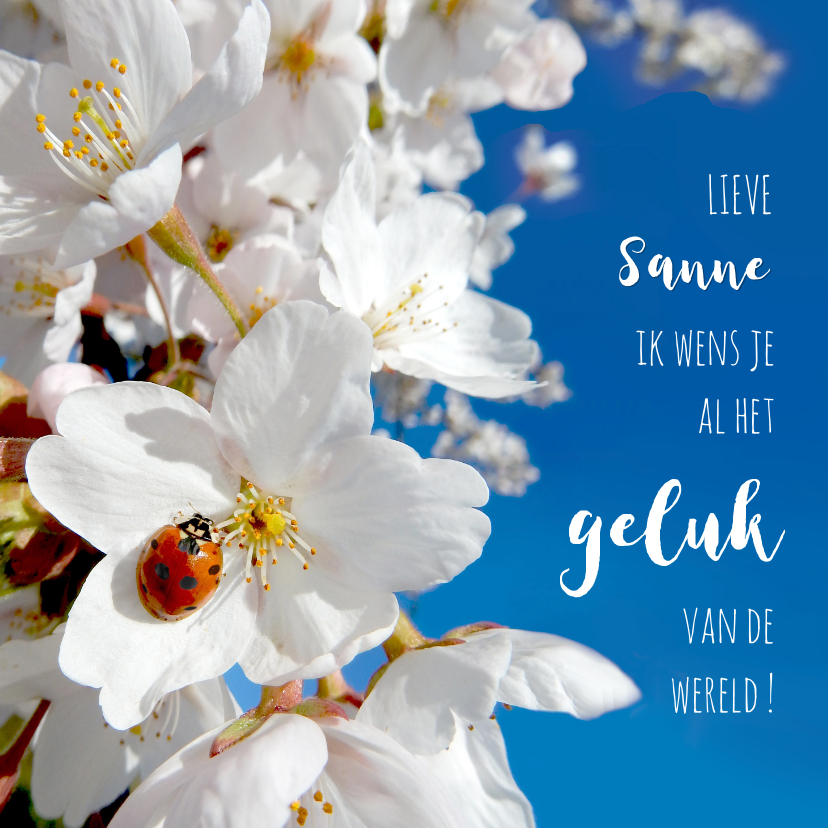 Coaching geluk lieveheerstbeest lente - Coachingskaarten Coachingskaarten - Coaching geluk lieveheerstbeest lente