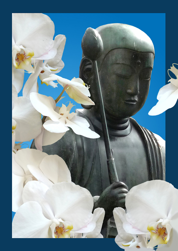 Coaching orchidee Boeddha - Coachingskaarten Coachingskaarten - Coaching orchidee Boeddha
