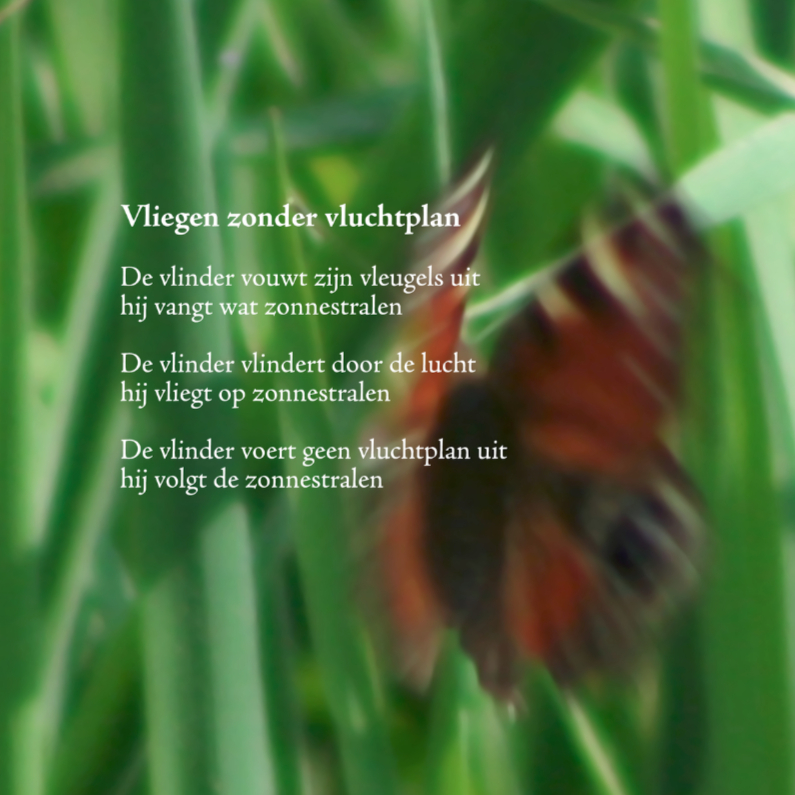 Vliegen zonder vluchtplan - Coachingskaarten Coachingskaarten - Vliegen zonder vluchtplan