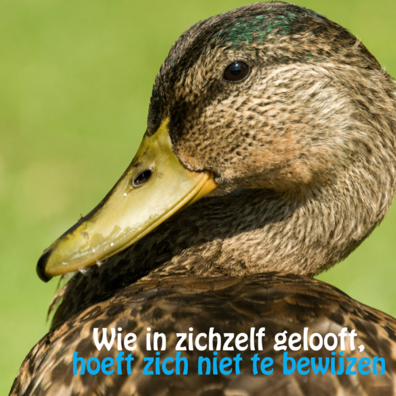 Wie in zichzelf gelooft - Coachingskaarten Coachingskaarten - Wie in zichzelf gelooft