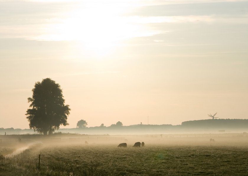 Achter de wolk schijnt de zon - Condoleancekaarten Condoleancekaarten - Achter de wolk schijnt de zon