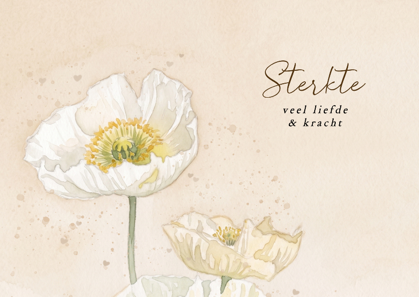Condoleancekaarten - Beige condoleancekaart met waterverf witte klaprozen