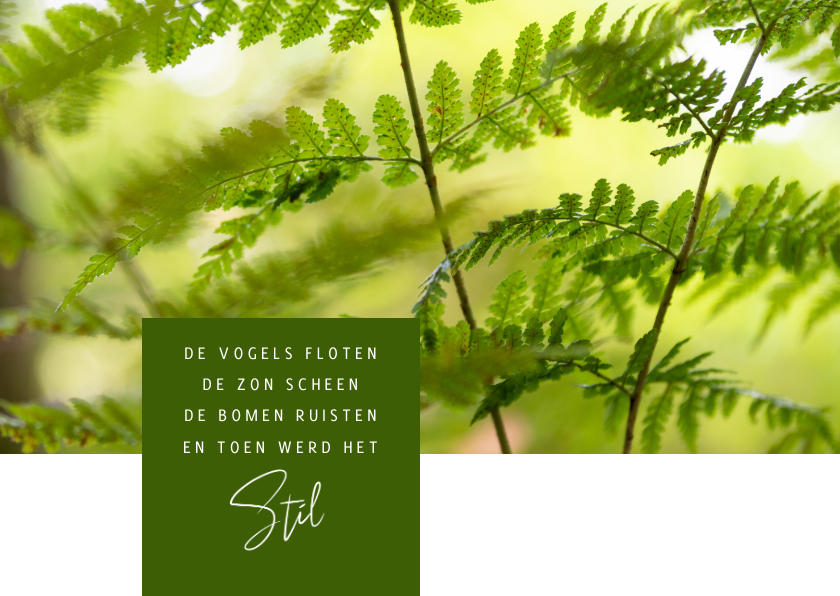 Condoleancekaarten - Condoleance En toen werd het stil - varen